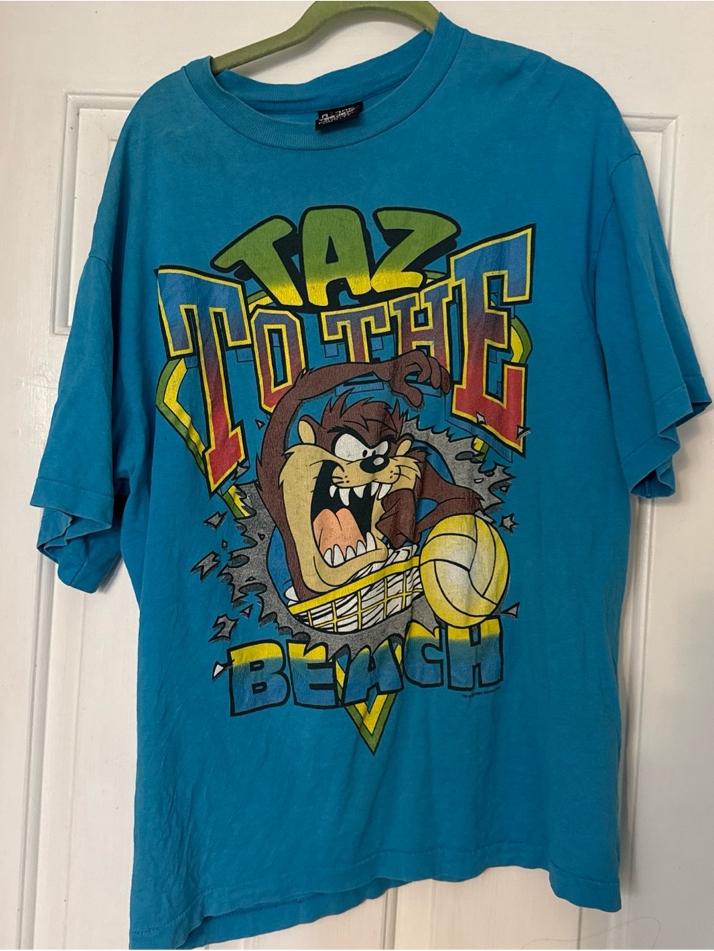 Vintage 90’s Taz Volleyball Graphic Tee - Blue Giant Tag
